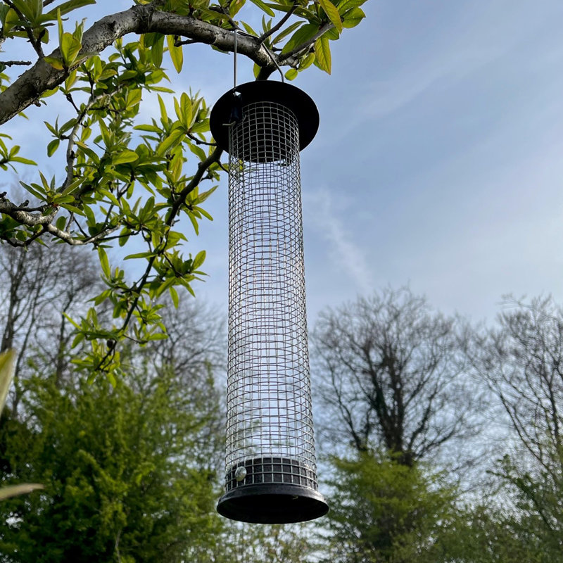 Ginevra  Metal Hanging Tube Bird Feeder