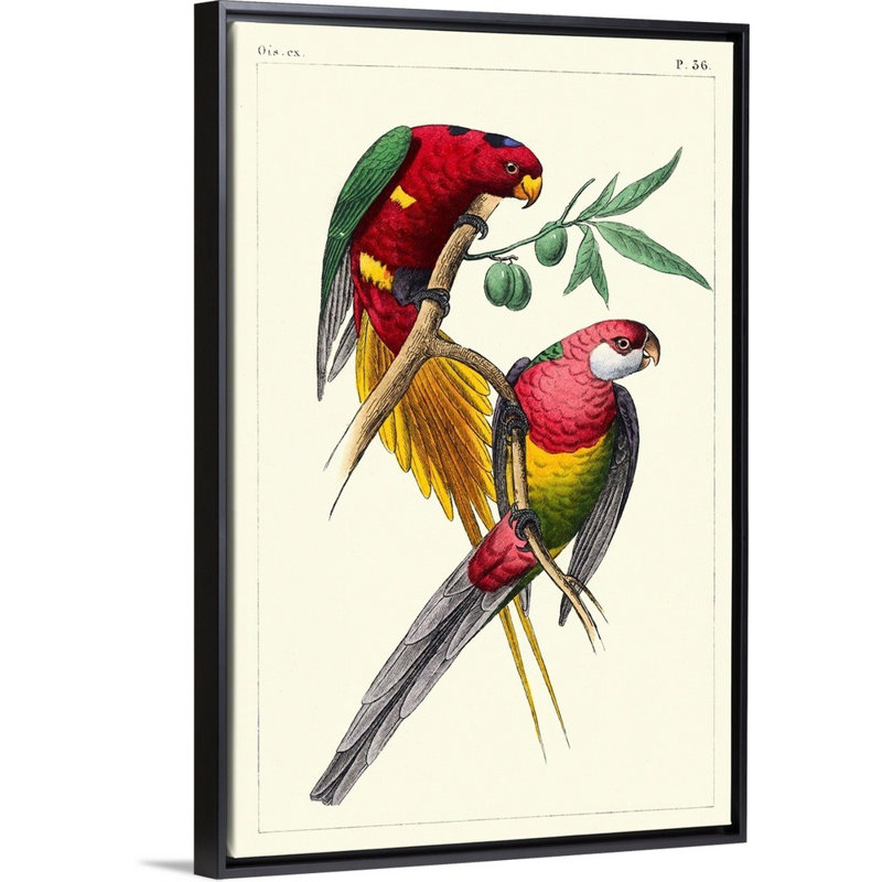 Art mural sur toile Lemaire Parrots III, Toile encadrée noire, H 32 po x l 22 po x P 2 po