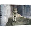 Animaux, loup couché sur un rocher sur toile-100095363-100095366