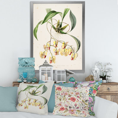 «Vintage Blossoming Flower I», peinture sur toile