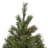 6.5' Pre-Lit Pine Christmas Tree