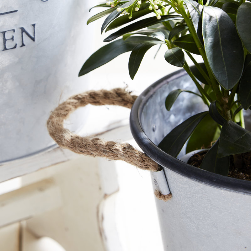 Vici Metal Pot Planter