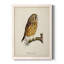 Maddock French Owls II-88378310-88378309