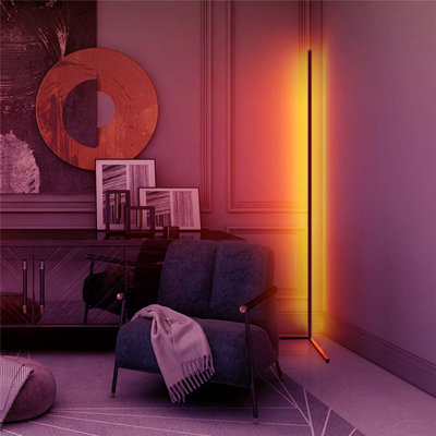 Bogoslav 125cm Black LED Novelty Floor Lamp with USB
