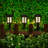 Low Voltage Solar Powered Integrated LED Pathway Light Pack