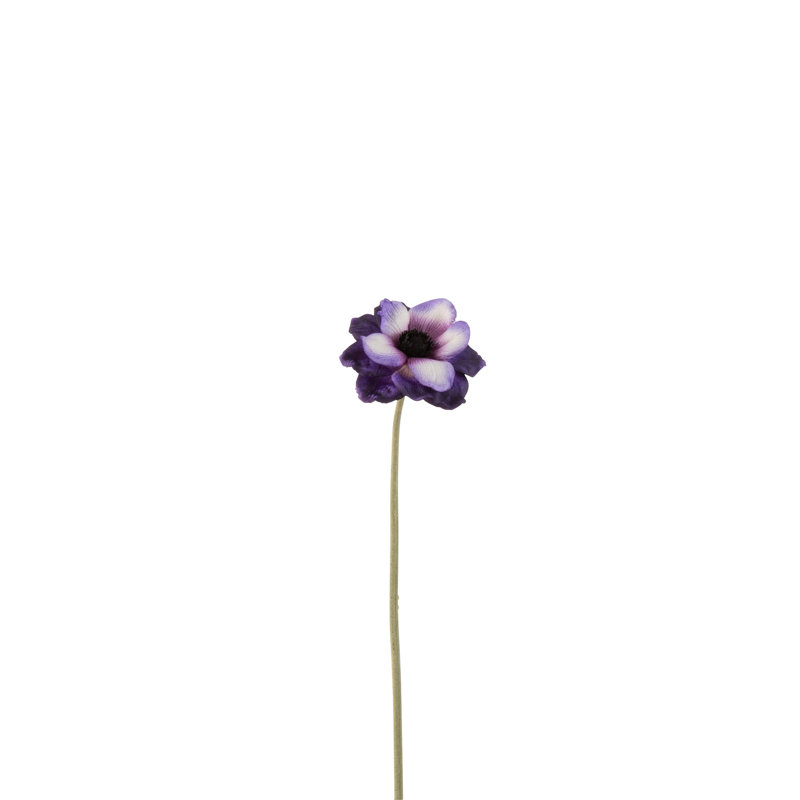 Anemone Arrangement