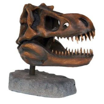 Statue crâne de dinosaure Jaiveer