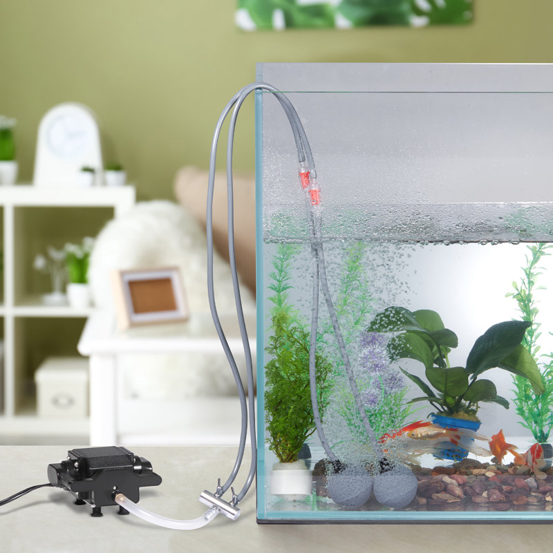 Shirin Plug-in Pump