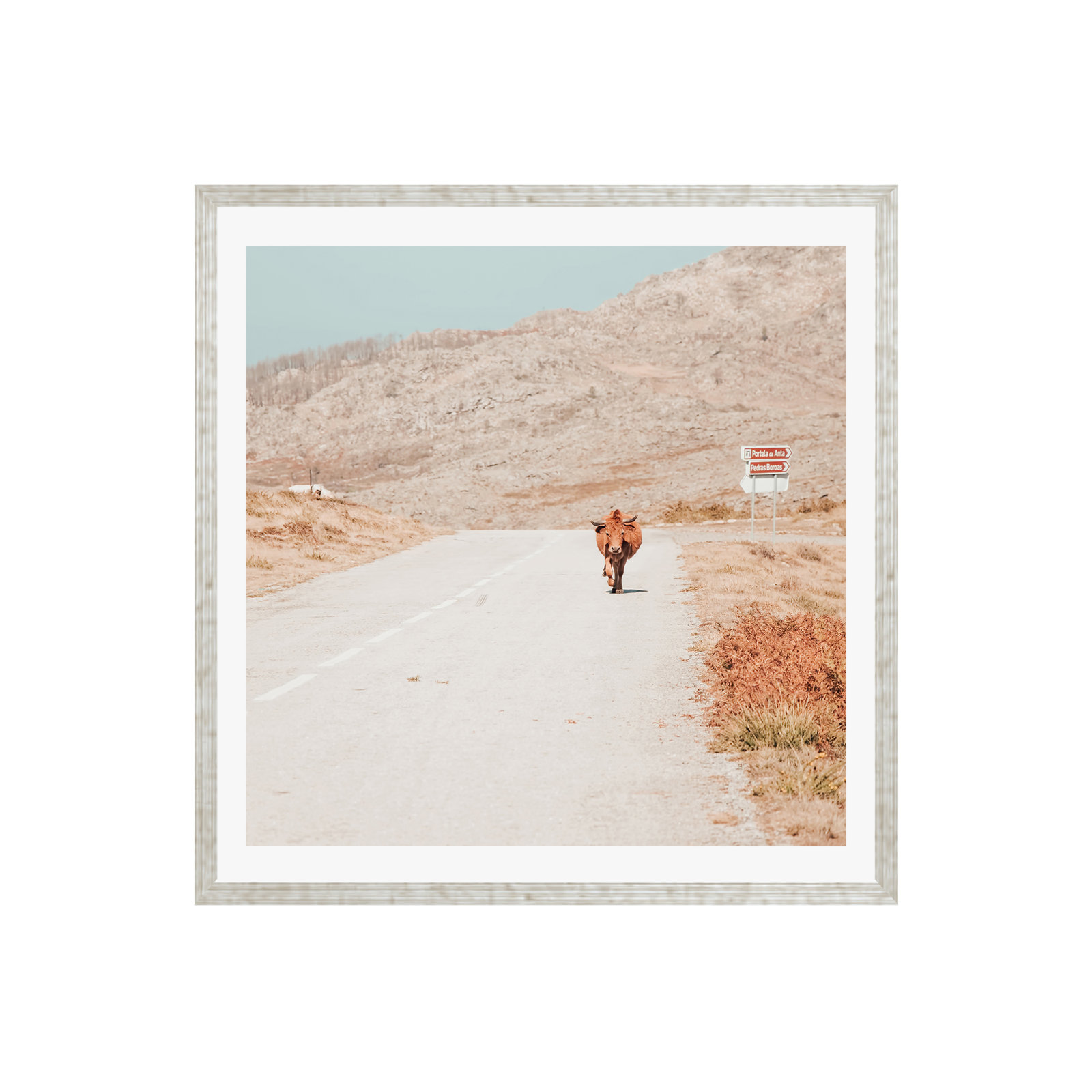 On The Road I by Ingrid Beddoes, 12" H x 12" W x 0.75" D, Yes, Silver Single Picture Framed