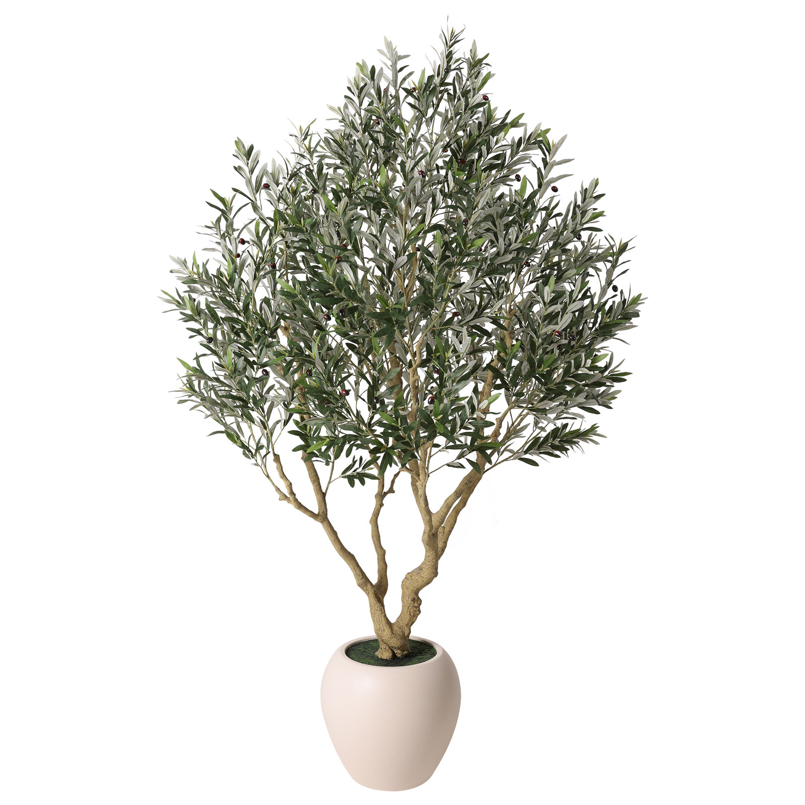 Ashwell 96" Olive Tree in Pot
