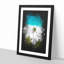 'Palm Tree Beach in the Maldives' - Picture Frame Graphic Art Print-56856896-56856898