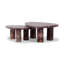 Zion Nesting Coffee Table-939944886