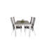 Jayesh 4 - Person Patio Dining Set Extendable Rectangular Table-1417400179-1417400183