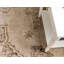 Tapis traditionnel Ulla couleur chameau-61945463