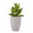 High quality ceramic flowerpot-116097659