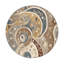 Tapis intérieur et extérieur Cheeky Curl-108606004