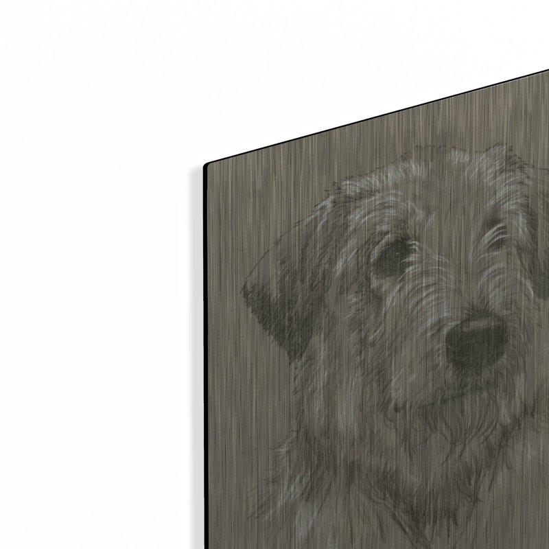 «Irish Wolfhound» par Barbara Keith, H 16 po x l 12 po