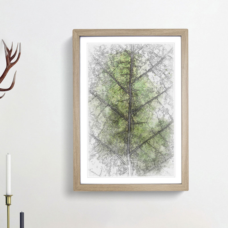 Leaf Lines in Abstract - Picture Frame Graphic Art Print, 48cm H x 36cm W x 2cm D, Oak Framed
