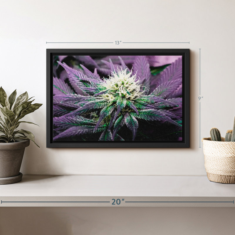 "Art mural plante de plante rare", H 13 po x l 9 po