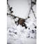 Animals Decorative Object