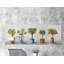 « photo lot de plantes »-impression sur toile tendue-1013453253