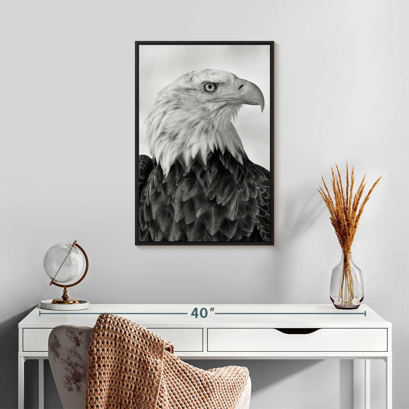 Fierce Looking Eagle, Floating Frame Black, 17" X 25"