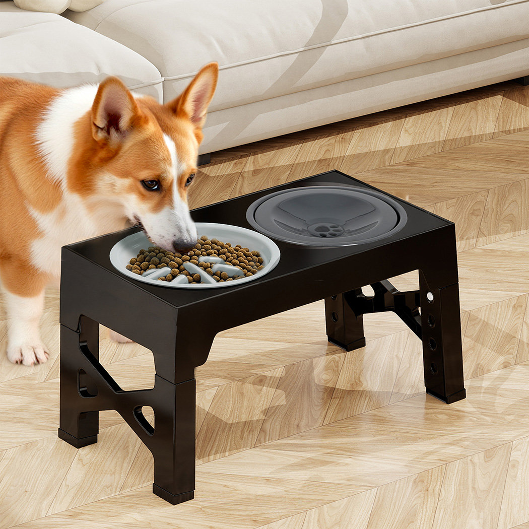 Elevated Feeder