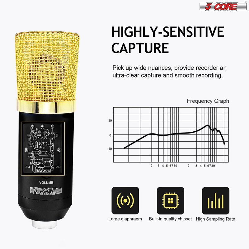 Ensemble de micro cardioïde à 5 cordes avec micro