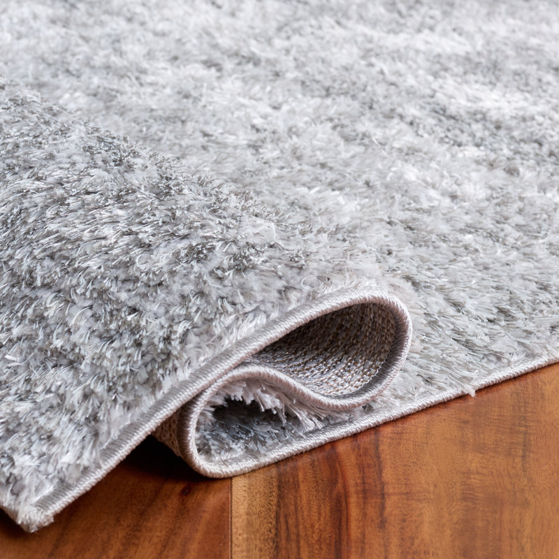 Tapis d'intérieur à poils longs Everett Performance, Rectangle 5 pi 3 po x 7 pi