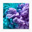 Encre bleue et mauve fluide - Art mural moderne et contemporain sur toile-1526076248-1526076198