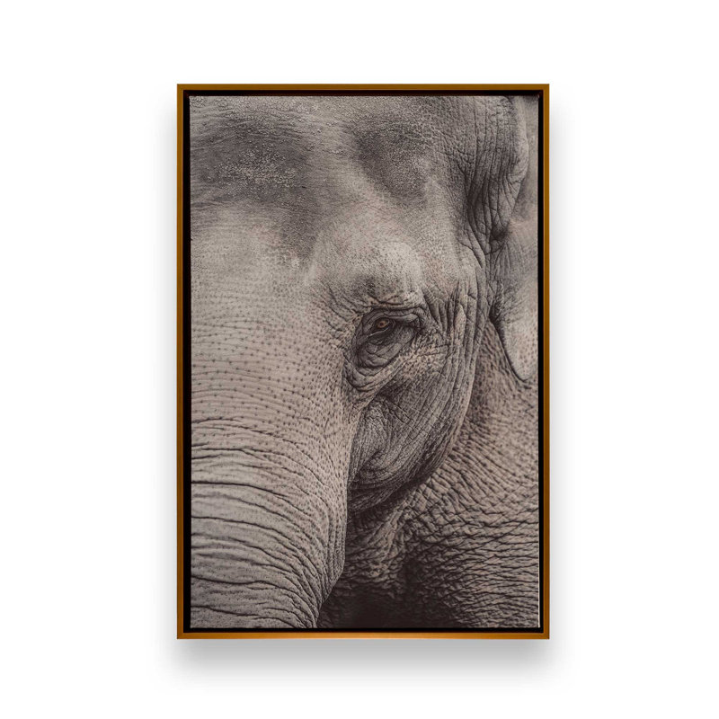 «Wise Gaze», reproduction sur toile, H 18,75 po x l 12,75 po x P 1,75 po, Cadre flottant or poli