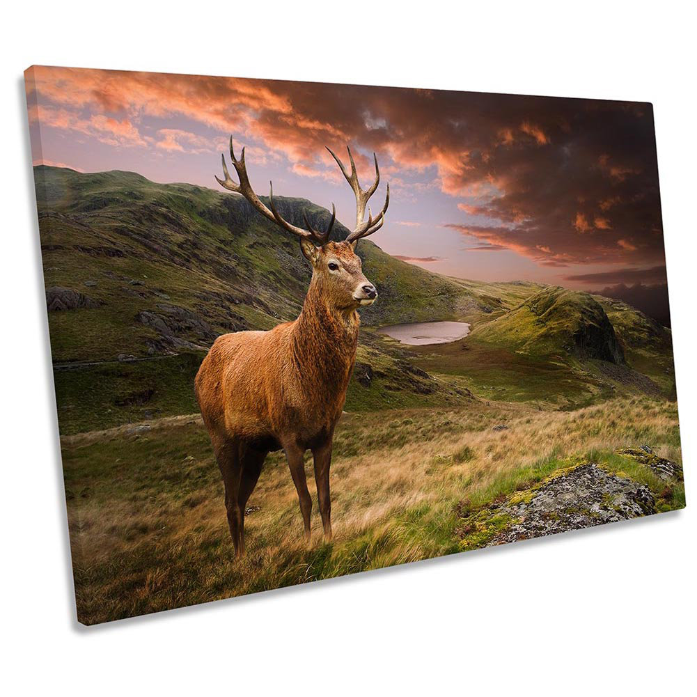 Deer Stag Highlands Sunset - Wrapped Canvas Print