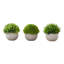 Ensemble de 3 plantes de gazon artificiel en pots - mini verdure artificielle de 5 po pour les tables