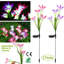 2 lumières de jardin solaires - Fleur de lis 7 couleurs à DEL, IP65 imperméable pour la décoration extérieure