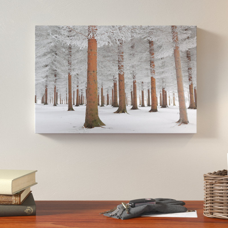 Blanc, reproduction de photo sur toile tendue, H 16 po x l 24 po x P 1 po, Papier d'art encadré noir, Blanc