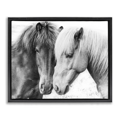«Union Rustic Horse Love Duo», art mural encadré par Sissi et Seb