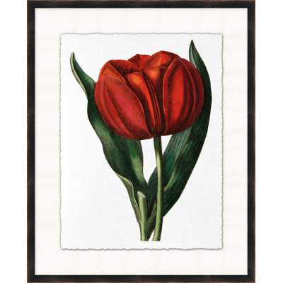 Red Flower 5 Print