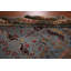 Tapis oriental Ziegler