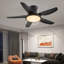 Andreano 122cm Ceiling Fan with LED Lights-1124662480