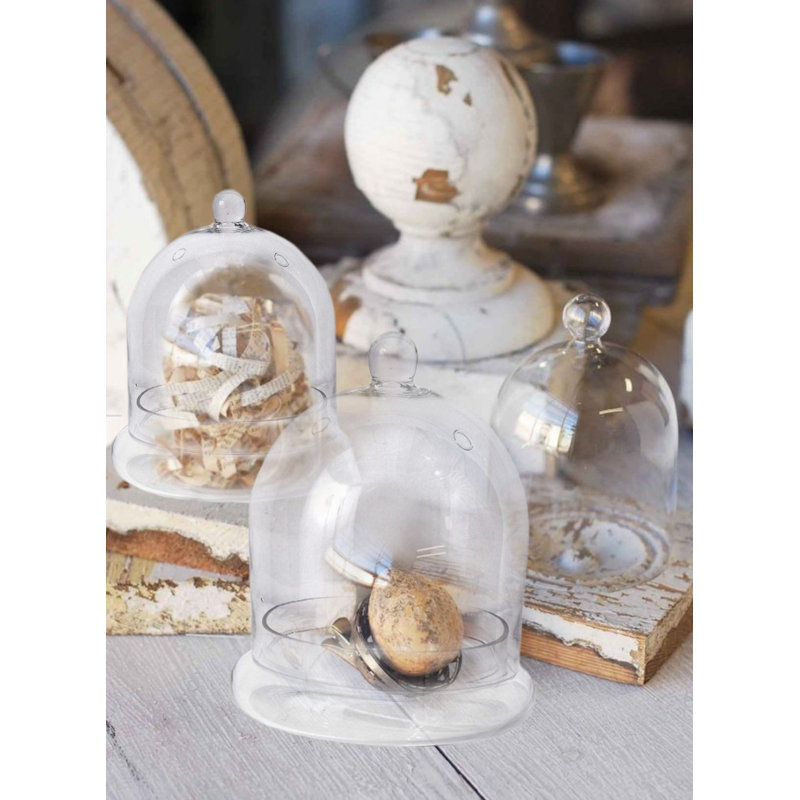 Terrarium en verre Hantsport, H 6 po x l 5 po x P 5 po, 1
