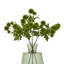 Arrangement-111171158