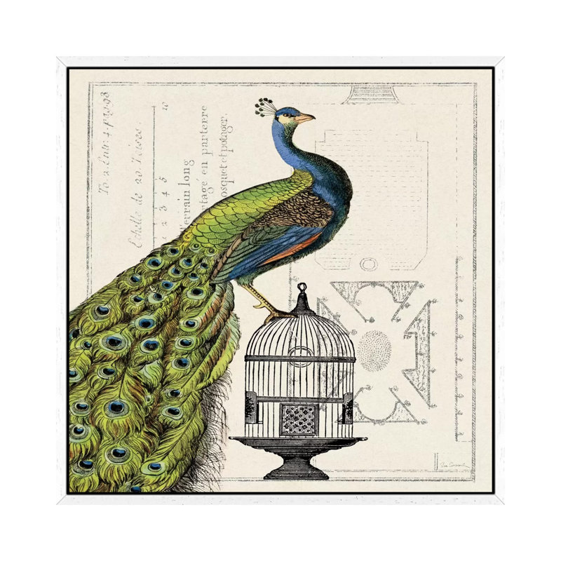Peacock Birdcage I by Sue Schlabach - Print on Canvas, 66.04 cm H x 66.04 cm W, White Framed