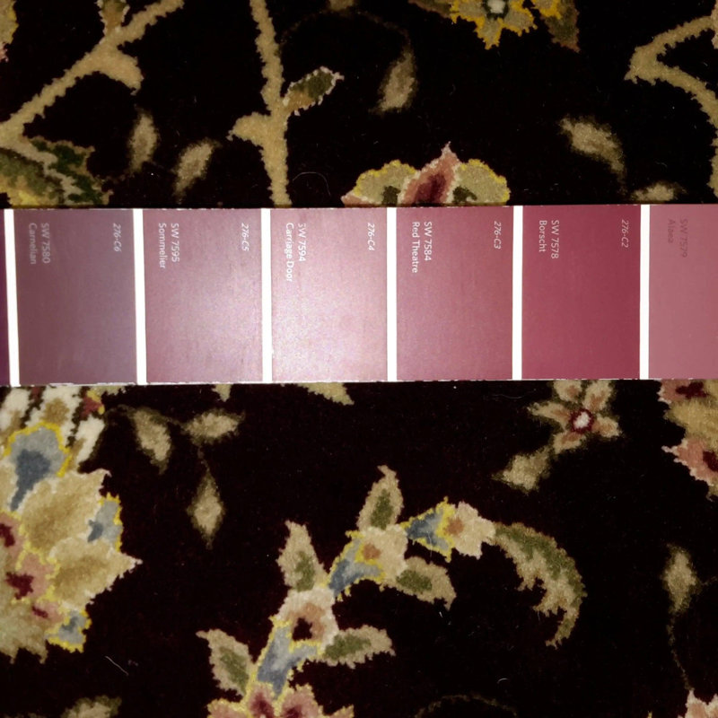 Oriental Area Rug in Burgundy