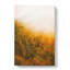 Golden Sun Over The Forest - Wrapped Canvas-56642564