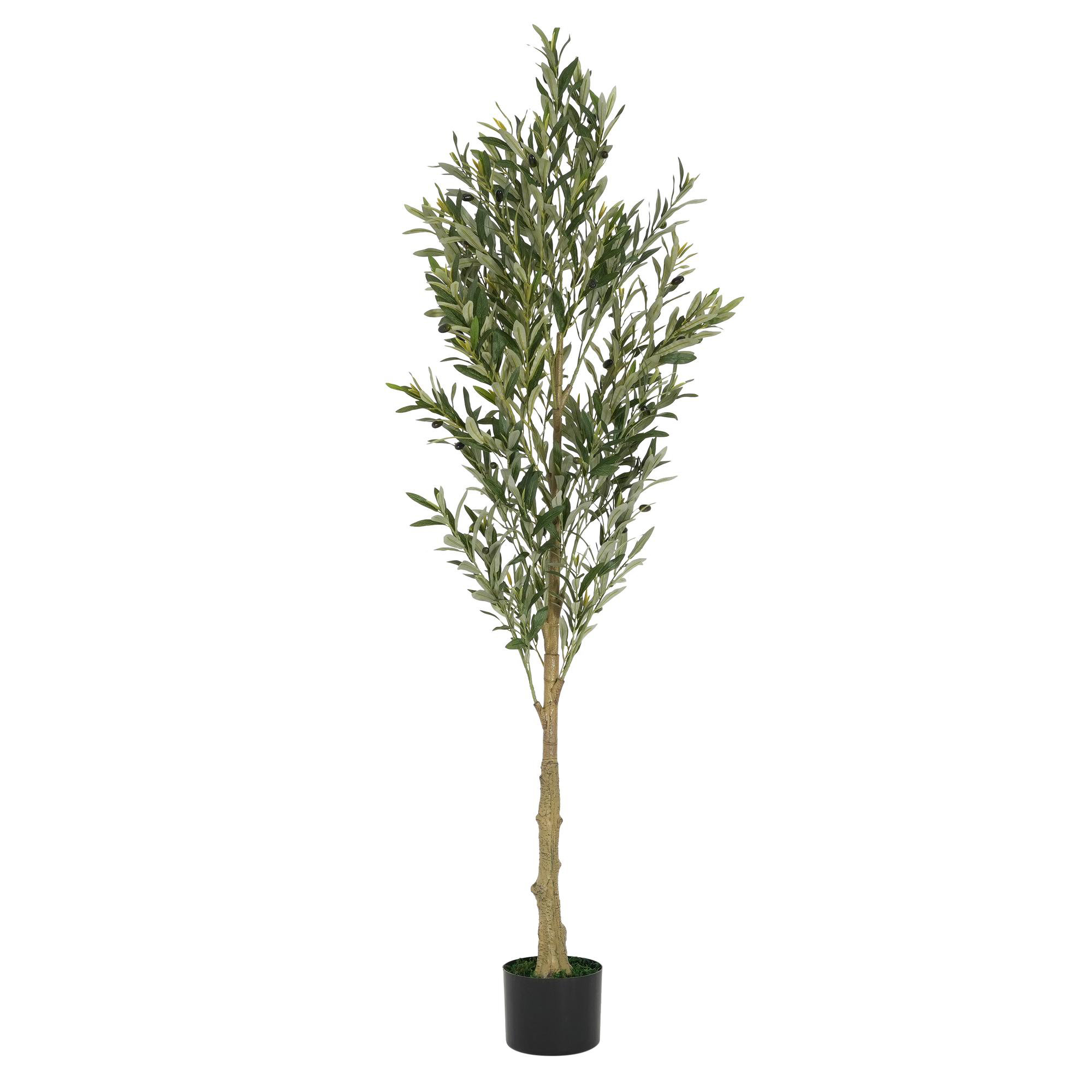 Kalituse Tree Latitude Run® 6' Artificial Olive Tree with Pot | Wayfair