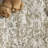Floral Rug Vintage Botanical Print Distressed Taupe-1641694252-1641694253