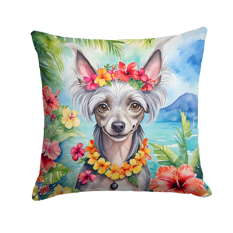 Other/No Pattern Outdoor Throw Pillow, 18" H x 18" W