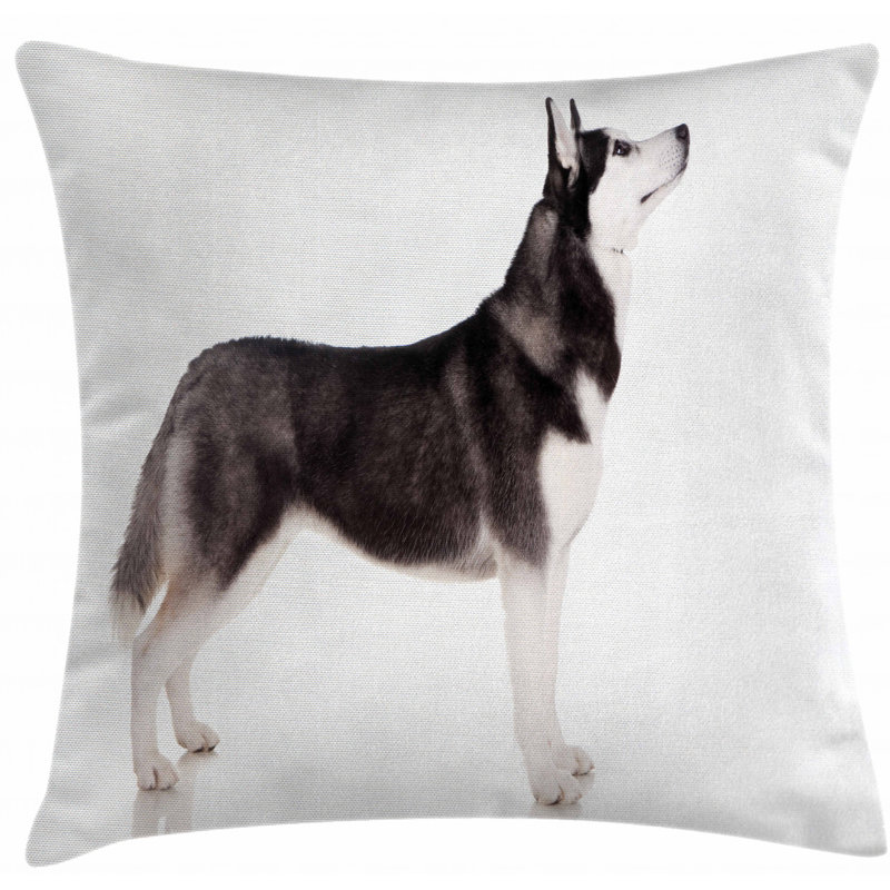 Mixed Pillow Cover