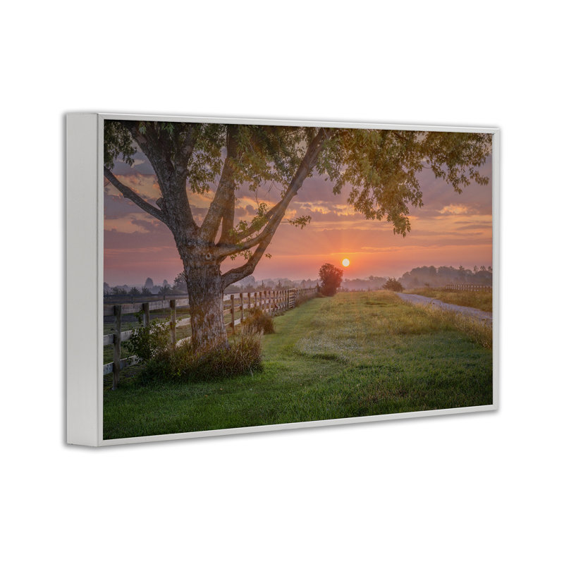 Art audacieux de Giclée par Marty Hulsebos, Estampe numérique encadrée blanc bord de mer, H 12 po x l 18 po