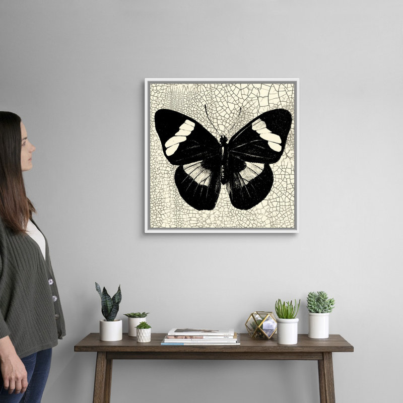 «Classical Butterfly III» par Studio Vision - reproduction d'art sur toile, H 26 po x l 26 po x P 2 po